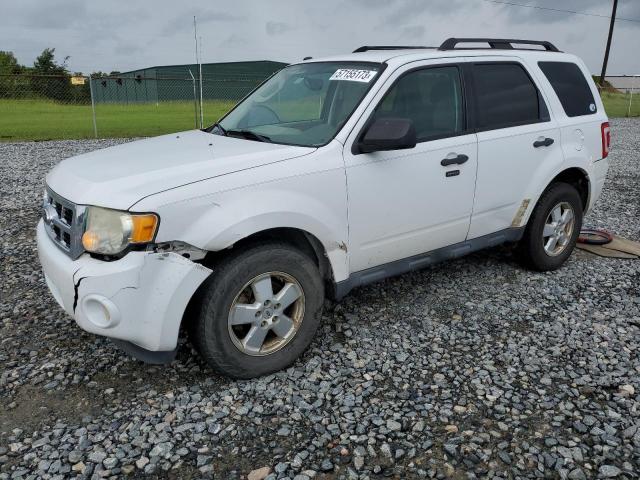 Ford Escape xlt (2011)