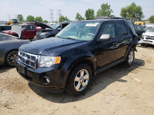 Ford Escape xlt (2010)