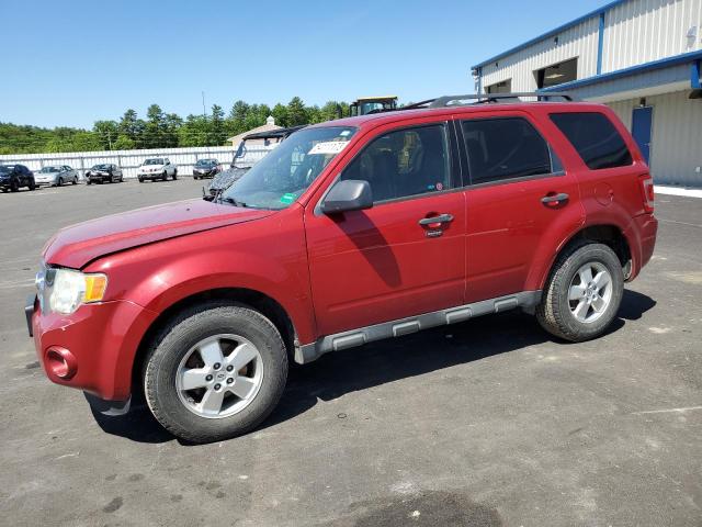 Ford Escape xlt (2010)