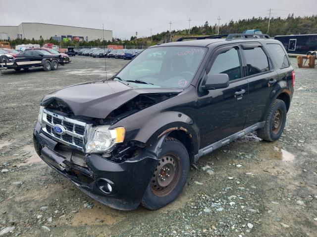 Ford Escape xlt (2011)