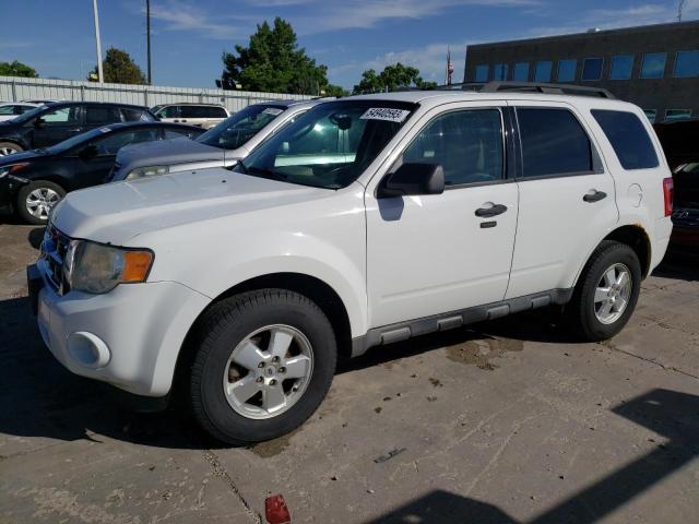 Ford Escape xlt (2011)
