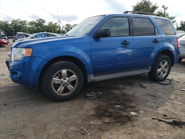 Ford Escape xlt (2011)