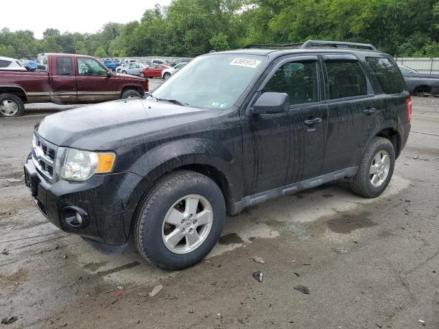 Ford Escape xlt (2011)