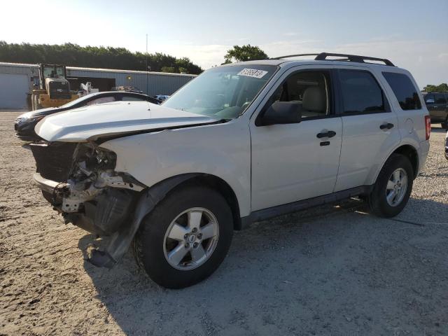 Ford Escape xlt (2011)