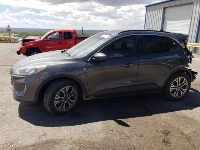 Ford Escape sel (2020)