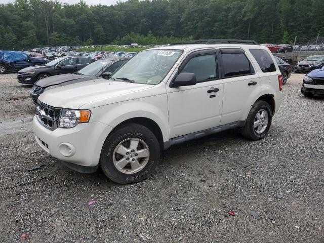 Ford Escape xlt (2010)