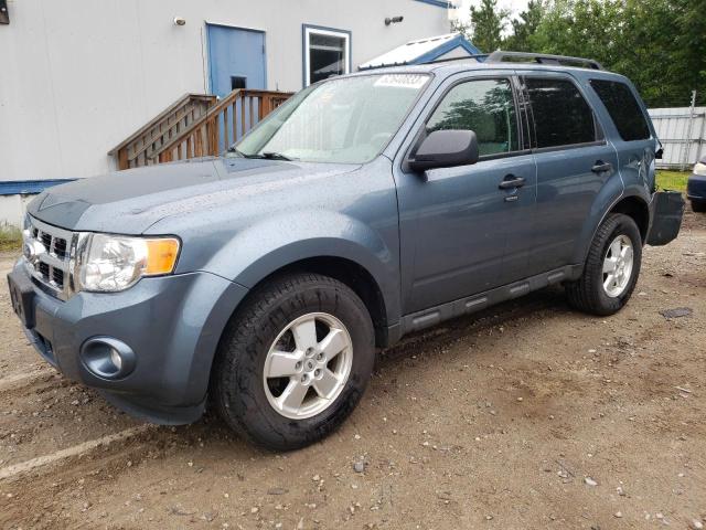Ford Escape xlt (2011)