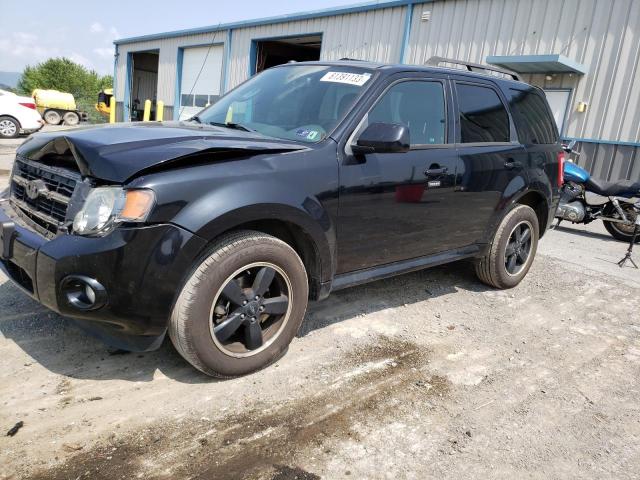 Ford Escape xlt (2010)