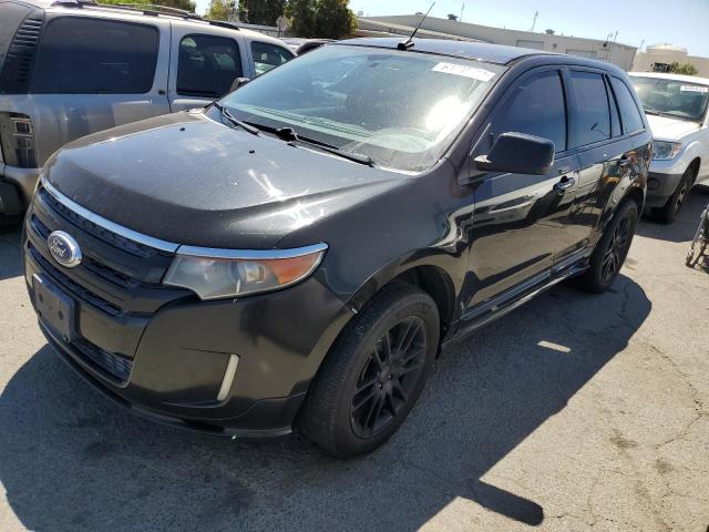 Ford Edge (2011)