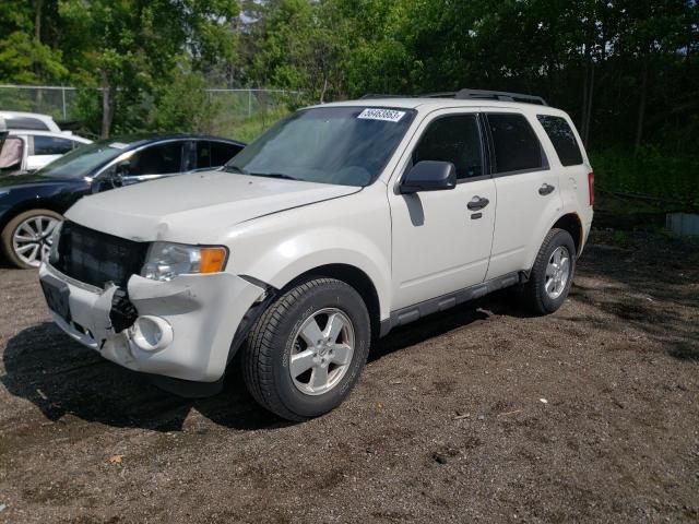 Ford Escape xlt (2011)