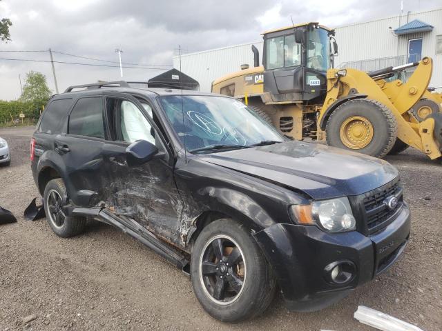 Ford Escape xlt (2010)