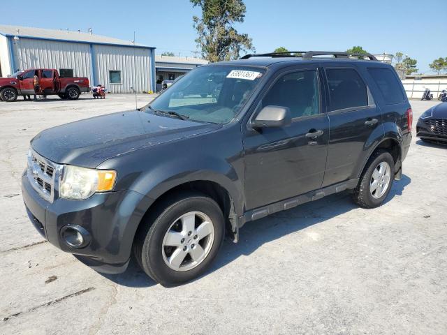 Ford Escape xlt (2009)