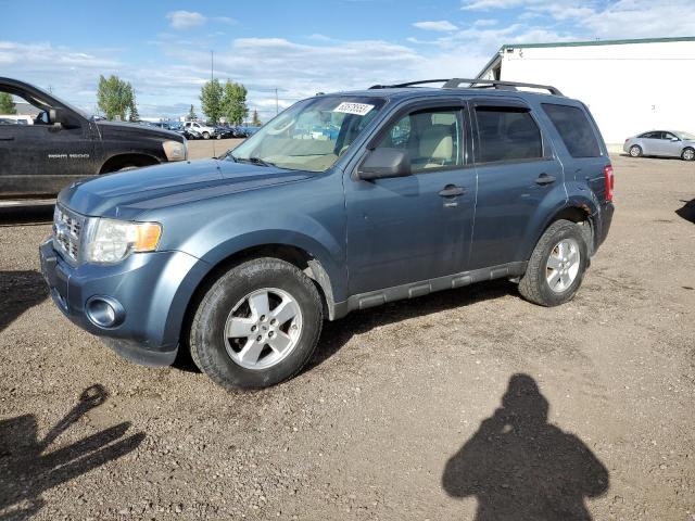 Ford Escape xlt (2010)