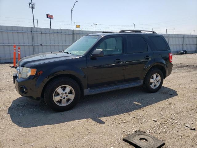 Ford Escape xlt (2011)