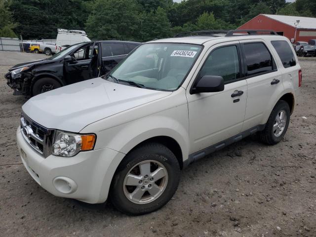 Ford Escape xlt (2012)