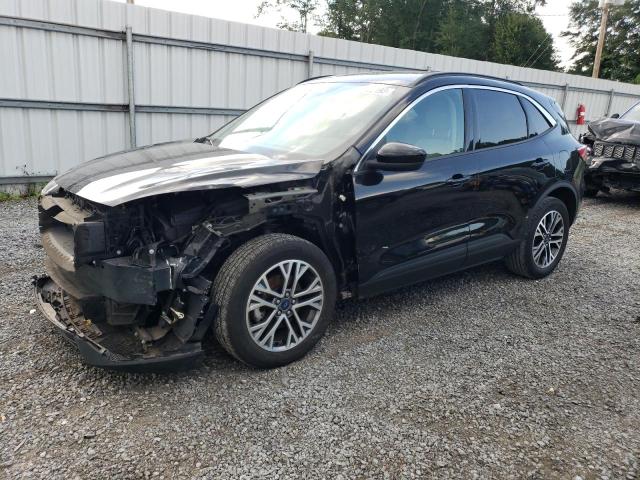Ford Escape sel (2020)