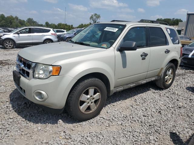 Ford Escape xlt (2009)