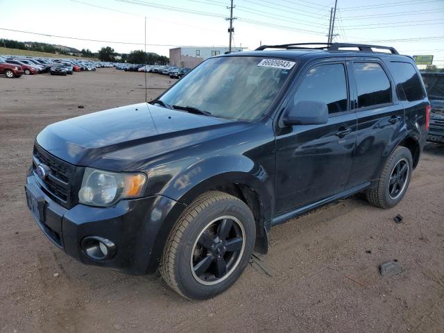 Ford Escape xlt (2011)