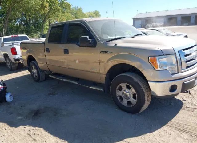 Ford F-150 (2011)