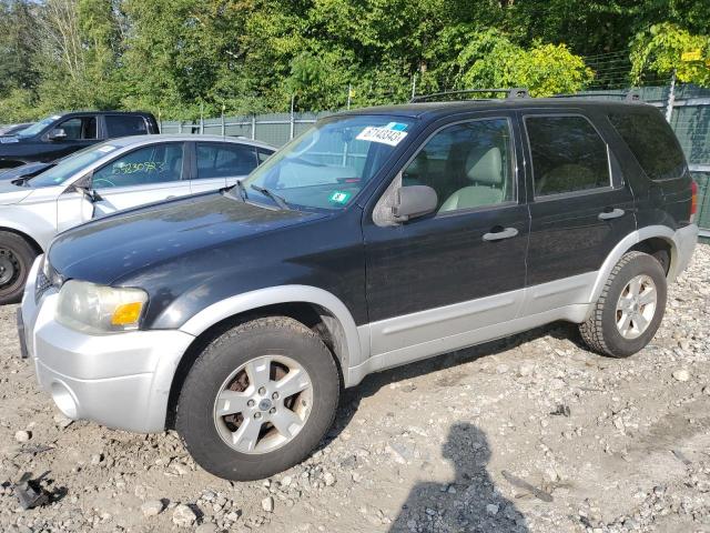 Ford Escape xlt (2007)