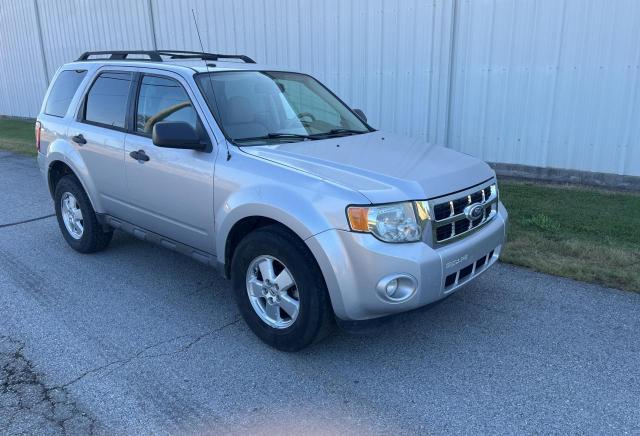 Ford Escape xlt (2010)