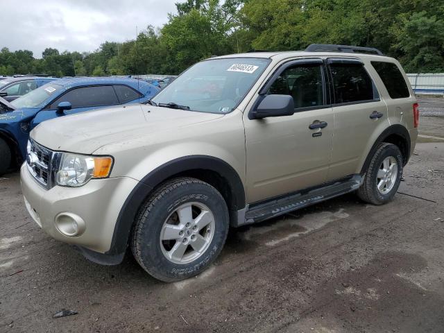 Ford Escape xlt (2010)