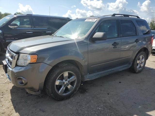 Ford Escape xlt (2009)