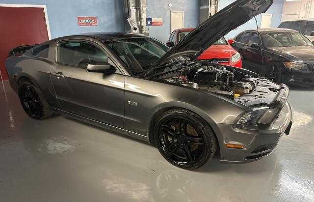 Ford Mustang gt (2014)