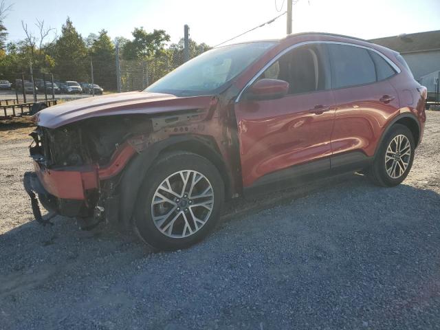 Ford Escape sel (2020)