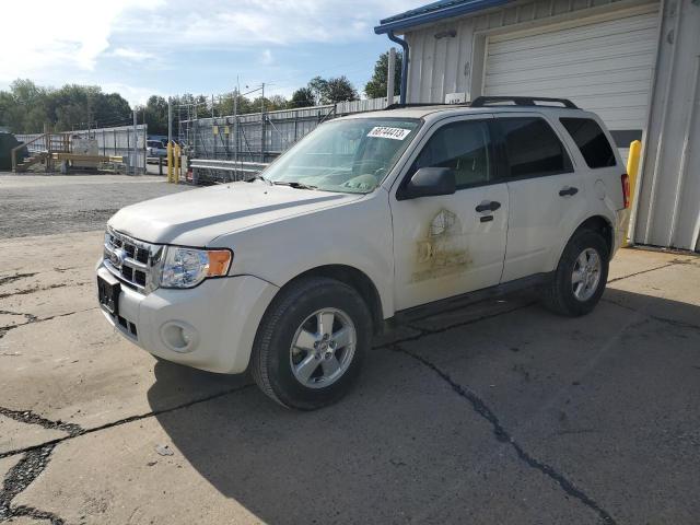 Ford Escape xlt (2010)
