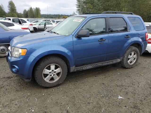 Ford Escape xlt (2009)