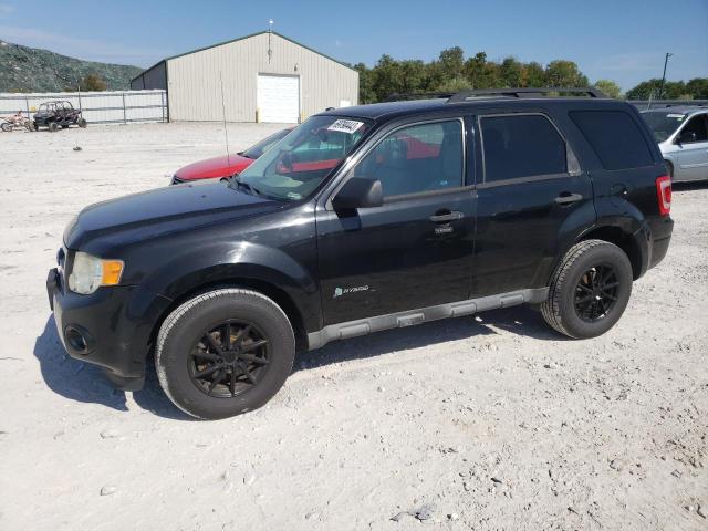 Ford Escape hyb (2011)
