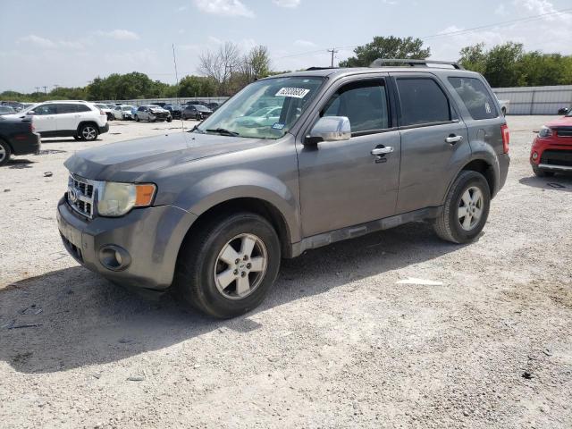 Ford Escape xlt (2010)