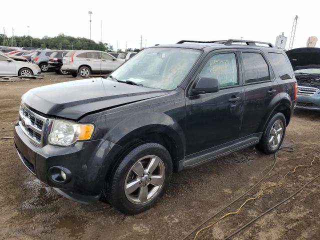 Ford Escape xlt (2011)