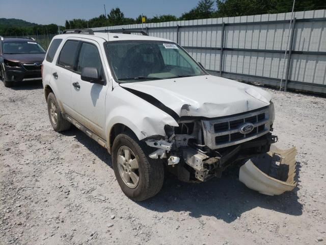 Ford Escape xlt (2011)