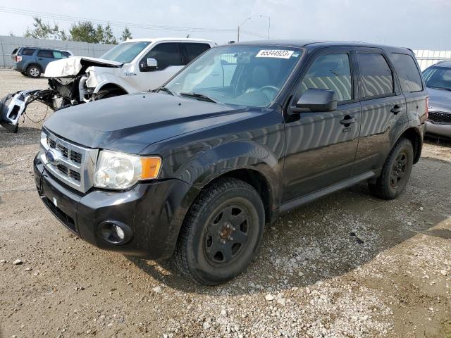 Ford Escape xlt (2011)