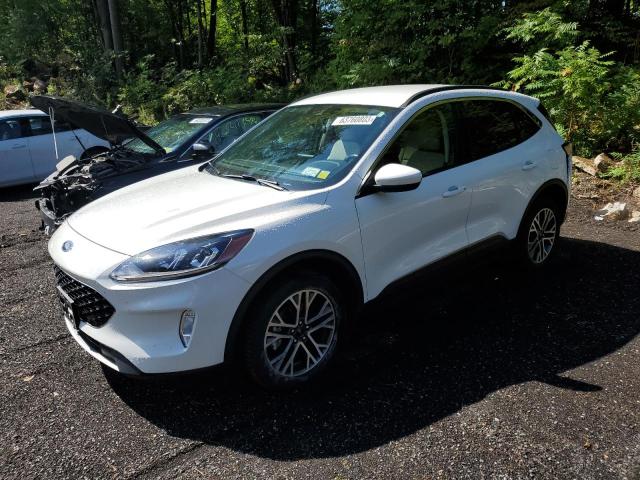 Ford Escape sel (2020)