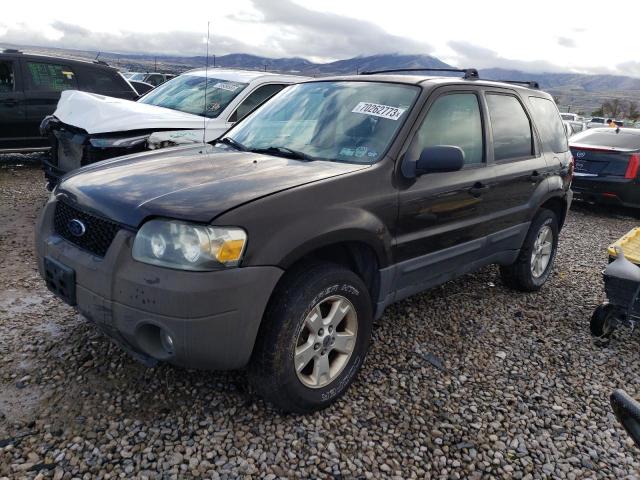 Ford Escape xlt (2006)
