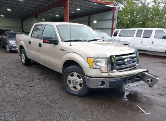 Ford F-150 (2010)