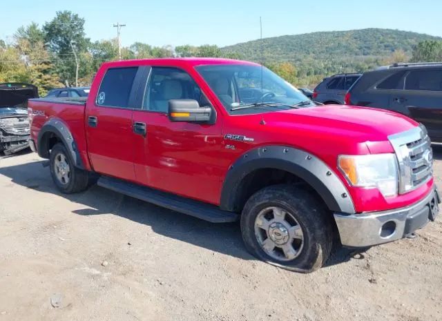 Ford F-150 (2010)