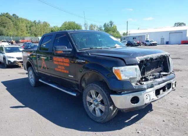 Ford F-150 (2012)