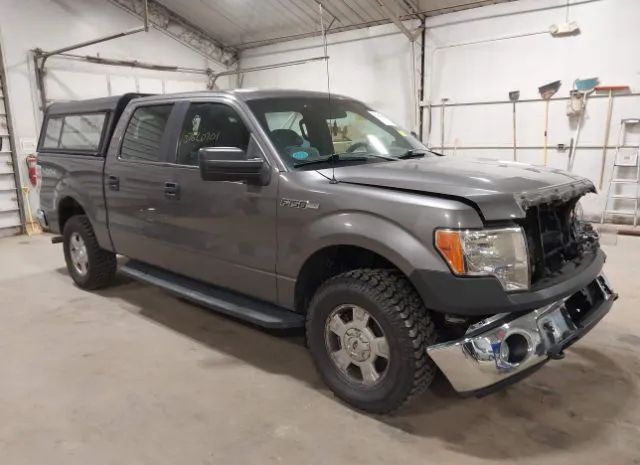 Ford F-150 (2013)