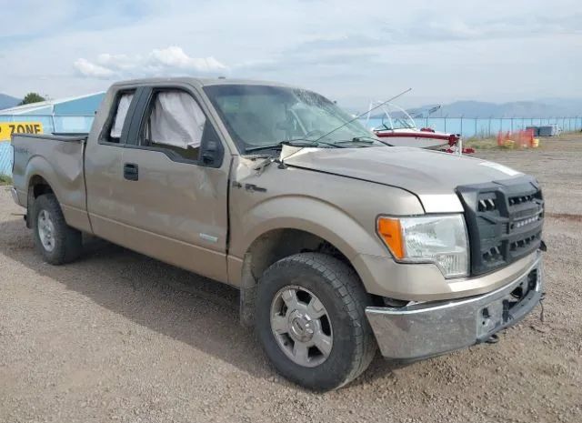 Ford F-150 (2013)