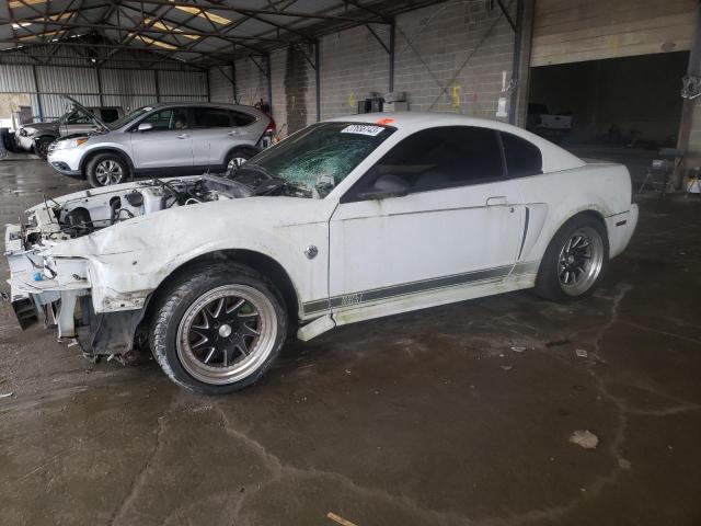 Ford Mustang ma (2004)
