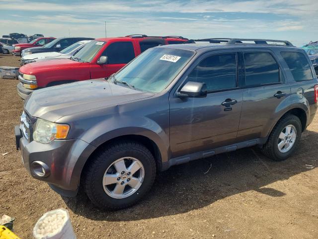 Ford Escape xlt (2012)