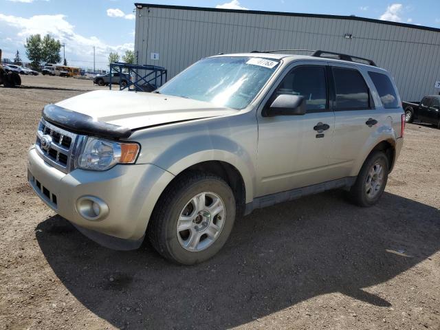 Ford Escape xlt (2012)