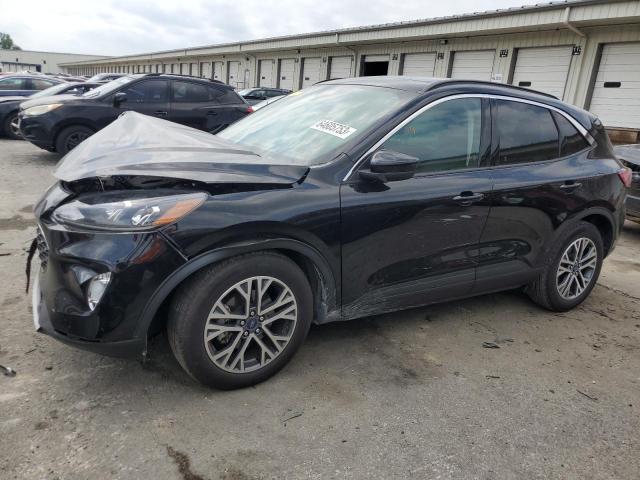 Ford Escape sel (2020)
