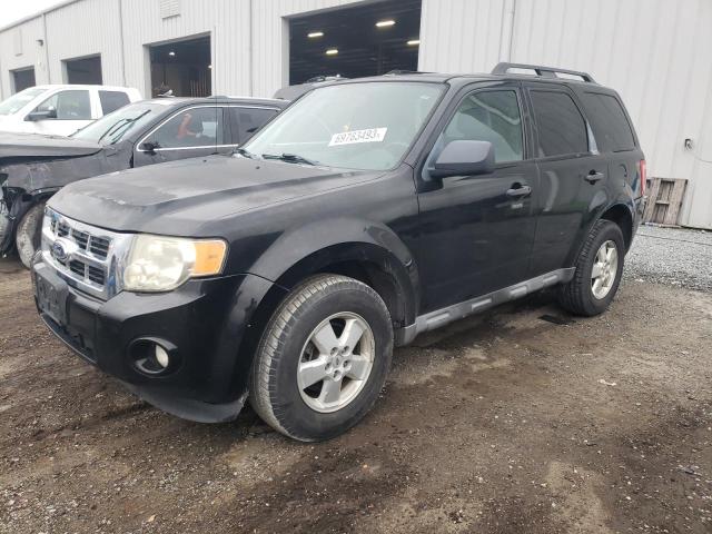 Ford Escape xlt (2010)