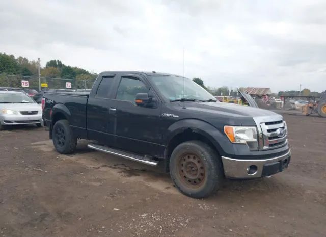 Ford F-150 (2010)