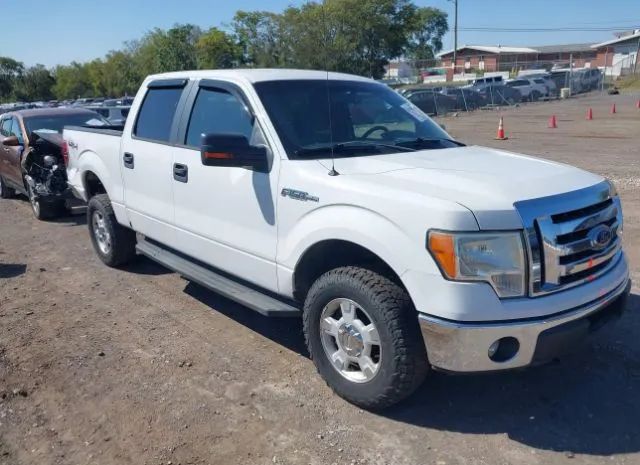 Ford F-150 (2011)
